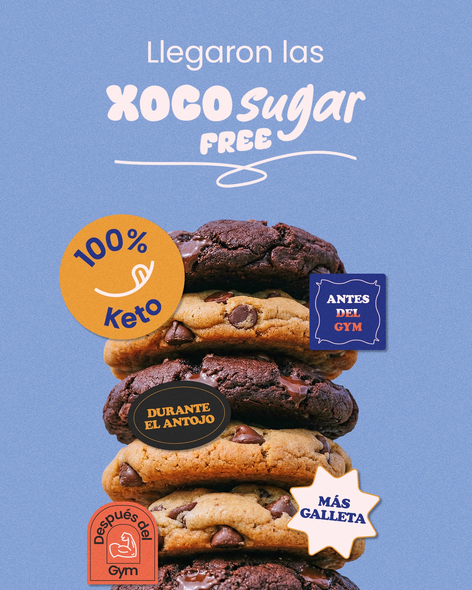 Diseño Xoco 3